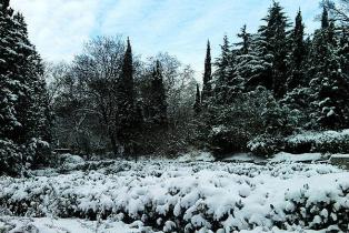 фото Алупка зима 